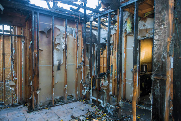 Professional Smoke Damage Removal technician working in Stafford, TX